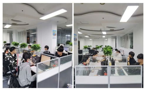 成都市成華區(qū)第七次全國人口普查咨詢熱線正式開通，為您提供便捷信息咨詢服務(wù)